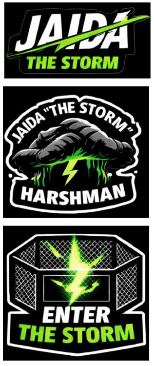 Storm Sticker Set
